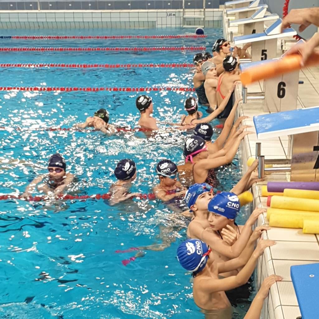 ecole de natation française ENF